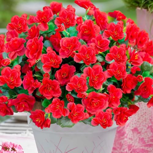 6 Pcs Artificial Flowers for Outdoors Indoor Decoration Artificial Plants Silk Geranium for Decor Outdoor Red Fake Flowers for Kitchen Table Indoor Outside Spring Decor (6, Red) image 4