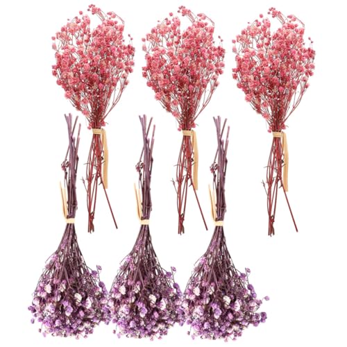 Mini ramo de flores secas Baby's Breath 12cm x6 miniatura 1