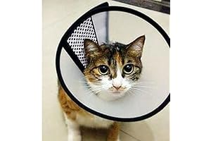 Bolbove Pet Plastic Clear Cone Recovery E-Collar for Mini Dogs & Small Cats