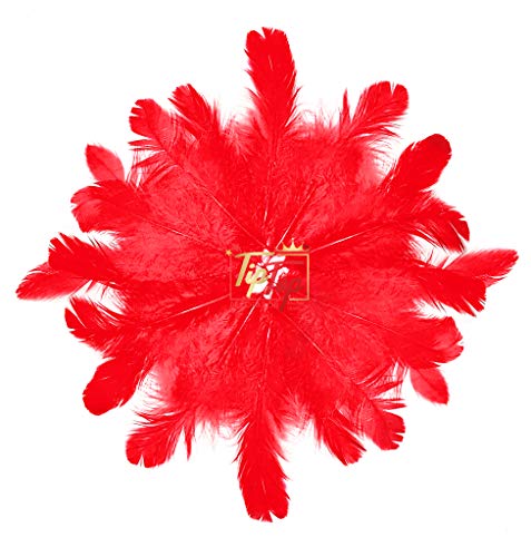 Image of Natural Dyed Feathers 10 cm (80 pieces) (Dark Red)