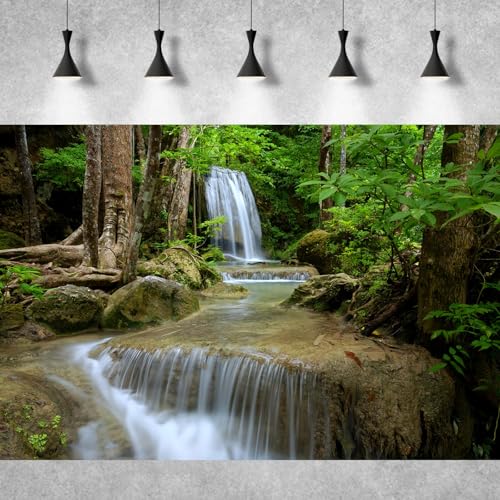 Image of Waterfall Aquarium Background Natural Jungle Rainforest Landscape Terrarium Background Jungle Waterfall Style Stream Fish Tank Background Falls Forest Rocks Reptile Background Vinyl 36x20in