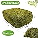 Riare 1.3LBS Artificial Fake Moss for Fake Plants Indoor- Premium Faux Craft Moss for Potted Plant, Fresh Green Moss Forest Moss for Hamsters Micro-Landscape Terrariums Centerpieces Decor