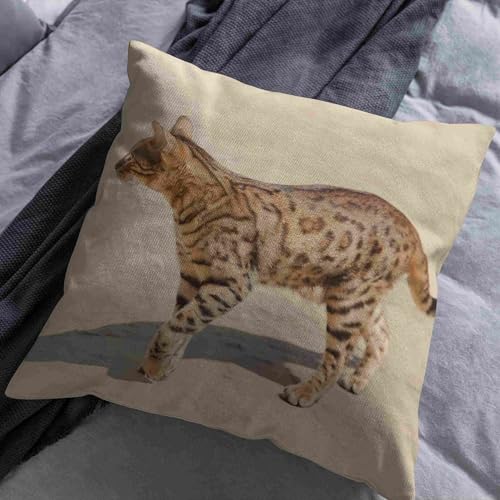Housse coussin 50x50cm lin impermeable taie d'oreiller rectangulaire ecureuil CEVAN - 3