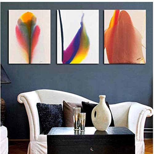Peinture à l'huile plume colorée sur toile 50x70cm sans cadre pour salon