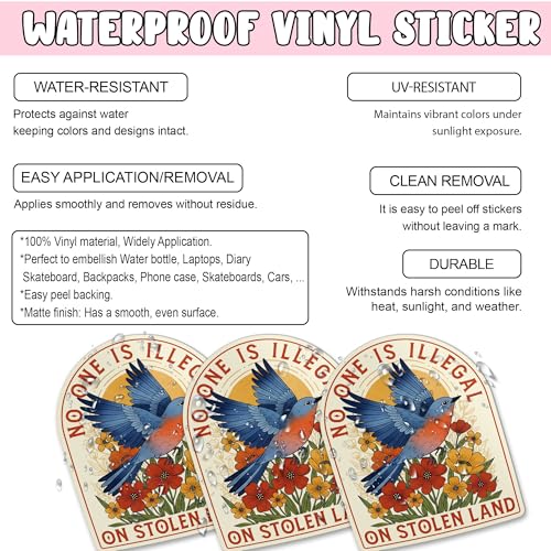 3 Pack No One is Illegal On Stolen Land Sticker Indigenous Rights Bird Floral Vinyl Decal Waterproof UV Resistant Social Justice Laptop Water Bottle Car Bumper 2 Inch by PKAOLER - Used condition - Image 4