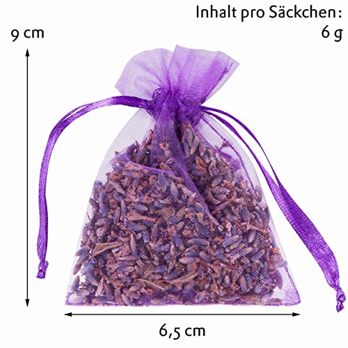Lavodia Lavendelsäckchen mit Premium Lavendelblüten, zum Mottenschutz gegen Motten im Kleiderschrank oder als Lavendel Duftsäckchen zum Entspannen und Schlafen, 20 Lavendel Säckchen