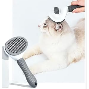 Dog & Cat Brush, Dog...