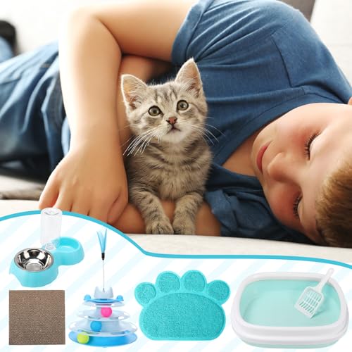 Kit de inicio para gatitos con caja sanitaria azul y accesorios miniatura 5