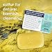 Natural Elephant Dead Sea Sulfur Soap Bar | Clarifying Face & Body Wash with Dead Sea Salt & Aloe Vera | 4.4 oz (125 g)