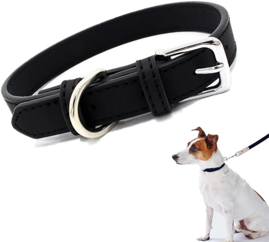 Trixie Classic Dog Collar, XSmall/Small, Red Amazon.co.uk Pet Supplies