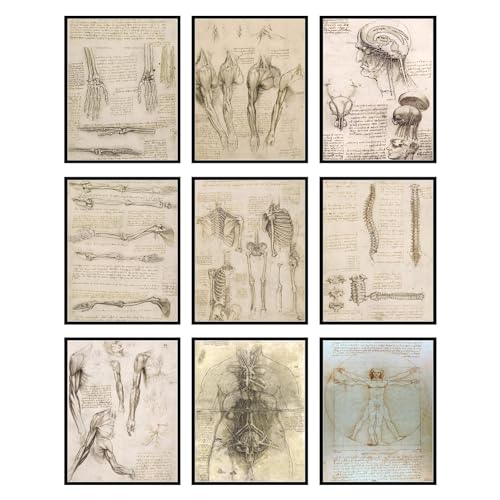 BigWig Prints Poster di anatomia umana da Vinci, stampe di Leonardo Da Vinci, poster vintage di anatomia, arte gotica da parete, poster rinascimentale, stampa di uomo vitruviano, stampe artistiche