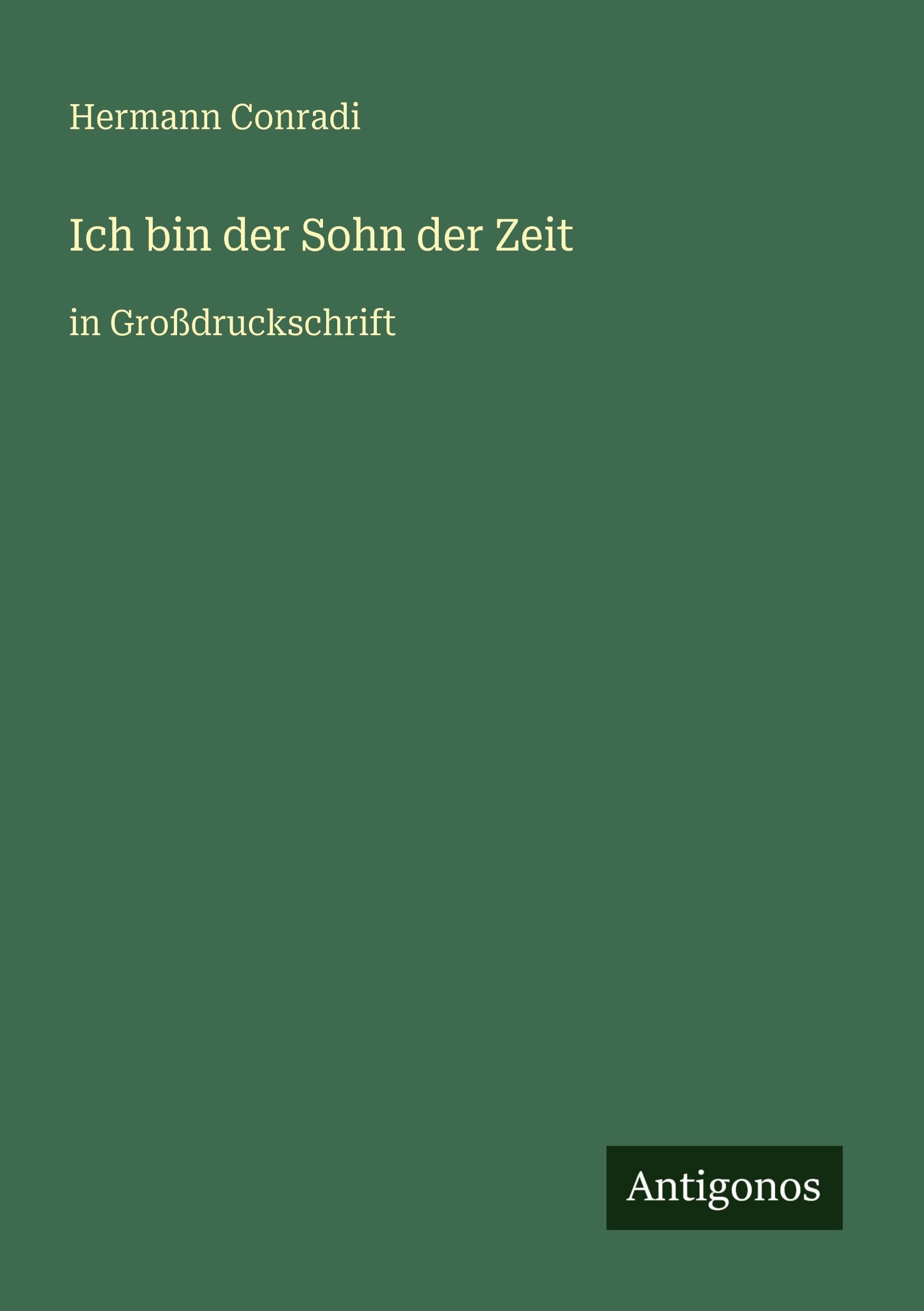 Ich bin der Sohn der Zeit: in Großdruckschrift