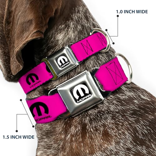 Collar de perro Buckle-Down con hebilla resistente y banda ancha de 3.8 cm para paseos seguros 3