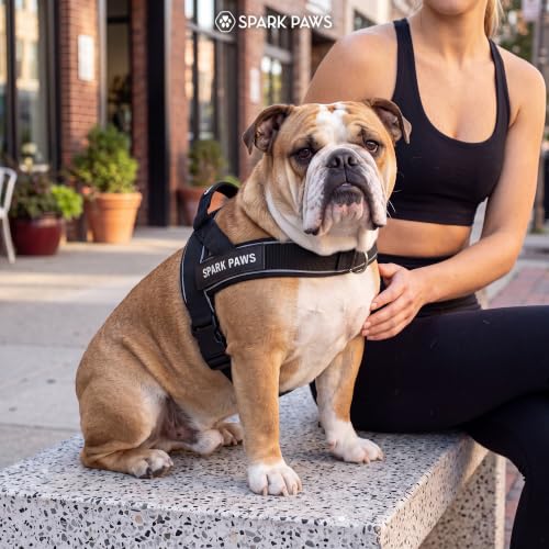 Image of Spark Paws No Pull Front Clip Dog Harness - Easy On, Padded and Lightweight | Two Clips, On in Seconds, Chest Bearing, Australian Style, No Throat Pressure, for Small Medium and Large Breeds
