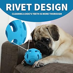 All for paws pet hol ee roller dog toy puzzle ball natural rubber  lightweight ideal bounce balls for dogs  stretchy rubber dog ball toy for large dogs   cucciolini doodles