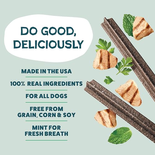 Image of Shameless Pets Chicken & Mint Dental Chews for Dogs, 32 Chews - Natural Dog Teeth Cleaning Treats with Fresh Breath Benefits | Grain-Free Dental Sticks for Small, Medium & Large Dogs