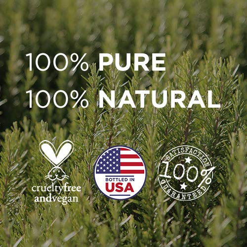 Radha Beauty Top 8 Essential Oils Gift Set Pure & Therapeutic Grade For Diffusers, Massage, Aromatherapy, Skin And Hair Care #TOP6