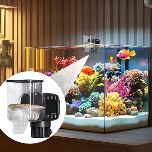 Mangeoire pour aquarium programmable et distributeur de nourriture extérieur