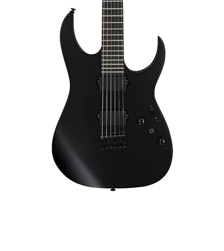 Amazon.com: Ibanez RGRTB621 Iron Label Electric Guitar - Black