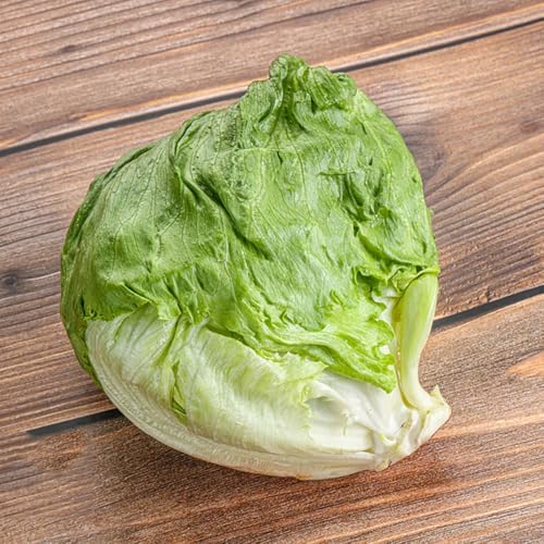 semillas de lechuga iceberg, jardín de lechuga camas elevadas para de jardín perennes resistentes trepadoras resistentes 500pcs