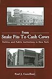 From Snake Pits to Cash Cows: Politics and Public Institutions in New York