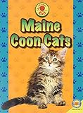 Maine Coon Cats (Av2 All About Cats)