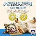 Himalayan Dog Chew Yogurt Sticks, Peanut Butter, Dog Treats With Prebiotics, Probiotics & Protein, Digestive Support, Lactose & Gluten Free, Natural Dog Treat for All Breeds, Made in America, 5 Count