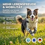 Nature Pet Sport Hand Gelenk Bandage für Hunde - geeignet für Rettungs- und Diensthunde oder Agility, Flyball und Hunde Frisbee (S)