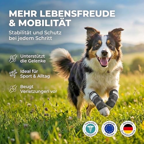 Nature Pet Sport Hand Gelenk Bandage für Hunde - geeignet für Rettungs- und Diensthunde oder Agility, Flyball und Hunde Frisbee (S)