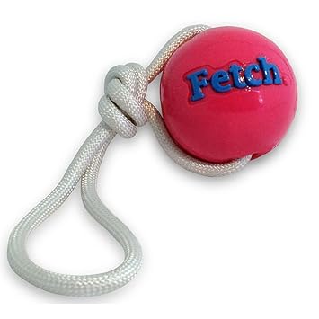 Planet Dog Orbee-Tuff Fetch Ball with Rope Pink