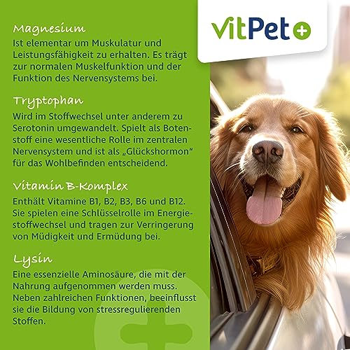 VitPet+ RelaxVit – Beruhigungsmittel für Hunde – Mit Magnesium, Tryptophan und Vitamin B Komplex für Hunde – Unterstützt Entspannung, Muskulatur und Nervensystem – Gegen Stress und Angst (400 g)