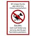 Produktbild Schild Hunde kacken verboten (20 x 30 cm Kunststoff) - Lustig - Kein Hundeklo - Hundekot Schild - Hunde Verbotsschilder - Hundeschilder