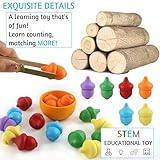 Zoom IMG-2 dellyy giochi montessori 26 pcs Zoom IMG-2 dellyy giochi montessori 26 pcs