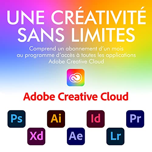 LaCie Mobile Drive Moon, 1To, disque dur externe portable, PC Mac iPad & iPhone, avec Adobe, Data Rescue Service (STLP1000400)