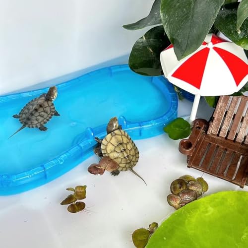 Image of Tree Frog Tank Accessories - Novelty Pool Theme Set Turtle Habitat Decoration Reptile Water Food Bowl for Amphibian Aquatic Frog Toad Lizard Leopard Gecko Hermit Crabs Snake Spider Scorpion (Pool Set)