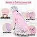 Cat Recovery Suit for Female, Breathable Cat Onesie for Cats After Surgery Cat Surgery Suit for Spay Abdominal Wounds Anti Licking, Surgical Recovery Suit Bodysuits with Long Sleeves for Cats Kitten