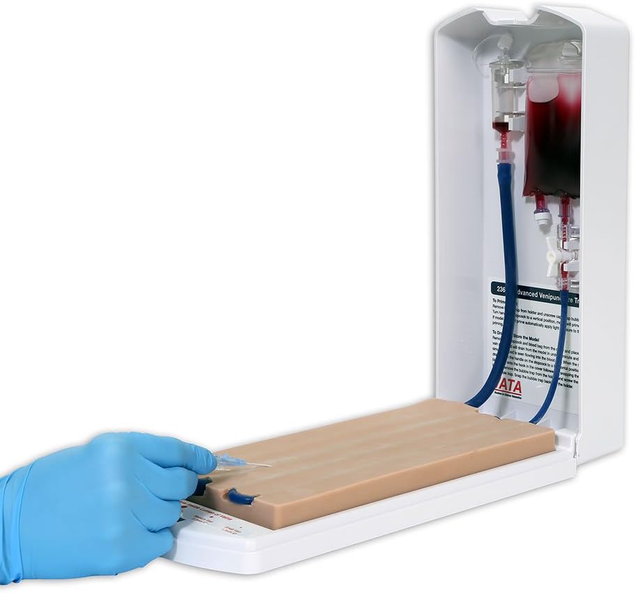 Advanced Four-Vein Venipuncture Training Aid - Dermalike II Latex Free