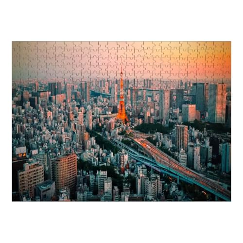 Wooden Puzzles Panoramic Tourist Attractions City Park...