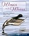 Wings on the Water: The Great Gallery of Ducks, Geese and Loons