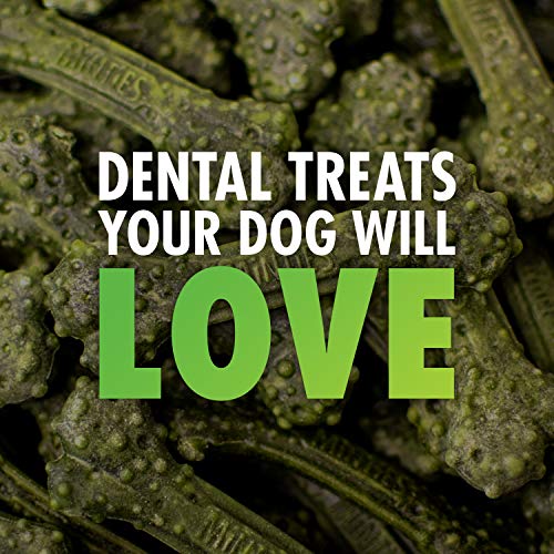Image of VetIQ Minties Dog Dental Bone Treats, Dental Chews for Dogs, (Perfect for Tiny / Small Dogs under 40 lbs), 80 Treats (box)