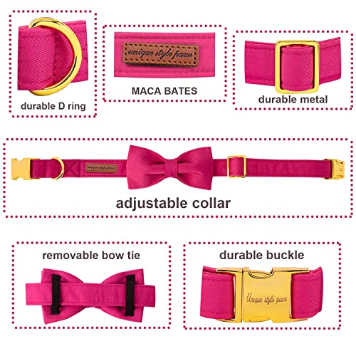 Unique style paws Dog Collar with Bowtie - Image 2