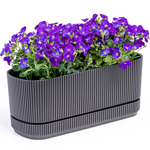 KONZEPT Blumenkasten für Balkon mit Untersetzer 3L Balkonkasten aus wetterfestem Kunststoff ideal für Fensterbank Garten Innen- & Außenbereich