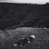 Nettwerk Music Group