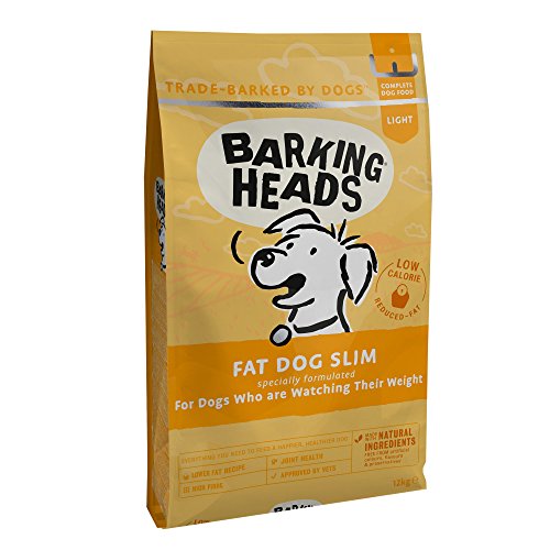 hypoallergenic low fat dog food