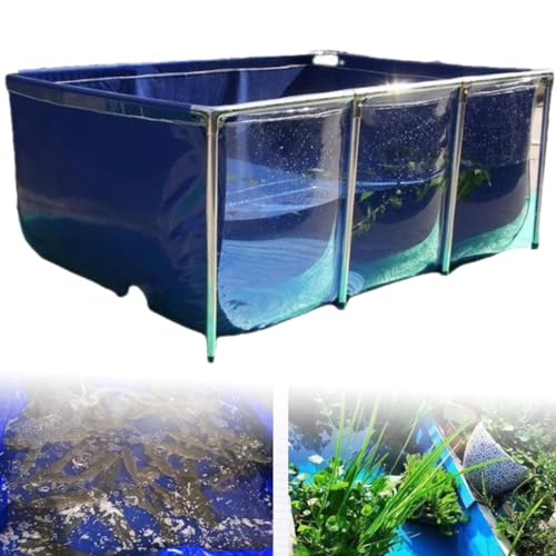 Piscine ornementale cuboïde en toile pour carpes koï et décor de jardin moderne