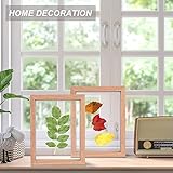 Langaelex B08F4Z9RRQ lato 4