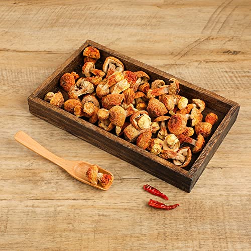 Agaricus,Dried Agaricus Blazei Murill,Agaricus Blazei,Himematsutake Mushroom,Agaricus Blazei Murrill,Almond Mushroom,Agaricus Subrufescens,Jisongrong (8 Oz) #TOP2