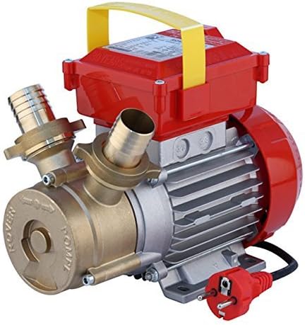 Electric transfer pump Rover Mod. 40 HP 1