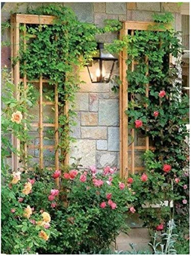 Pintar por números para Adultos Rejas de ventana DIY Pintura al óleo Kit lienzos Niños y Principiantes acrilicas Cuadros Manualidades Decoracion Regalo 40x50 cm(Con marco)