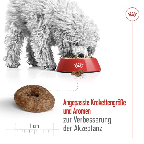 ROYAL CANIN MINI AGEING 12+ Trockennahrung für Hunde – 0.8 kg – Ansicht 5